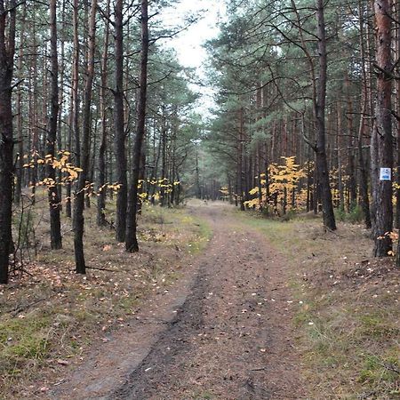 Отель Dom Turysty "Tramp" Bukowno Экстерьер фото